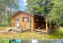 Cabin in Bark River, Michigan – Private Woodland Retreat