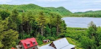 Peaceful retreat on 4.7 wooded acres with walk-out basement – $250,000.