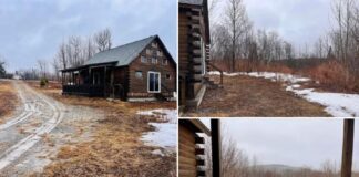 2BR Cabin on 6.62 Acres – New Limerick, ME