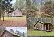 Secluded Creekside Retreat on 20 Acres in Wadley, Alabama