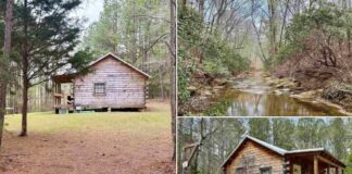Secluded Creekside Retreat on 20 Acres in Wadley, Alabama