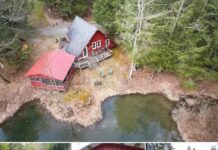 Two Secluded Cabins in Waverly, New York – Rustic Retreat