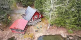 Two Secluded Cabins in Waverly, New York – Rustic Retreat