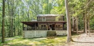 Forest backyard retreat on Tuscarora land – $176,900.