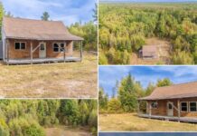 Charming 2BR Off-Grid Cabin – Lagrange, ME
