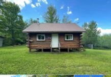 Peaceful 1BR Log Cabin on 80 Acres in Amasa, MI