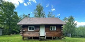 Peaceful 1BR Log Cabin on 80 Acres in Amasa, MI