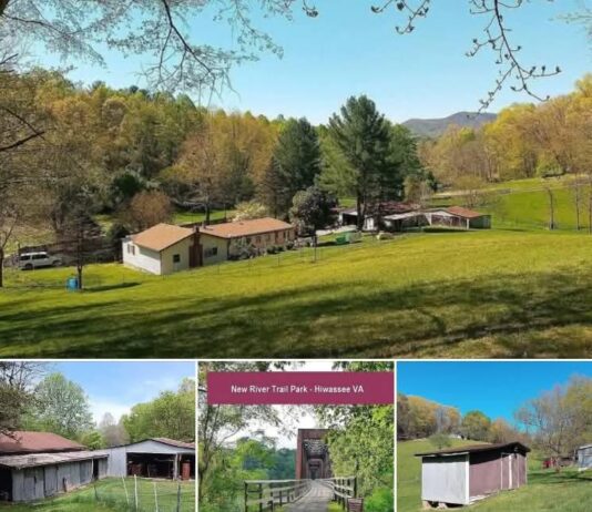 Fully Updated Turnkey Mini Farm on Nearly 2 Acres – Stunning Mountain Views & Homestead Living