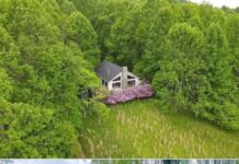 Mountain Home with Cabin on 52 Acres – Nature, Space & Comfort