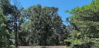 Secluded Home on Quiet Dead-End Road