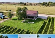 23-Acre Vineyard with Tasting Room & Expansion Potential – Price Reduced