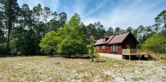 2-Bedroom Log Cabin on 80.63 Acres – Garland, NC