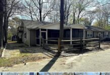 Charming 3-Bedroom Cottage on 17+ Acres Near Millsboro – Move-In Ready Country Retreat