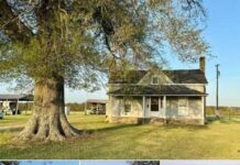 3BR Farmhouse Fixer on 0.54 Acres – Step Back in Time