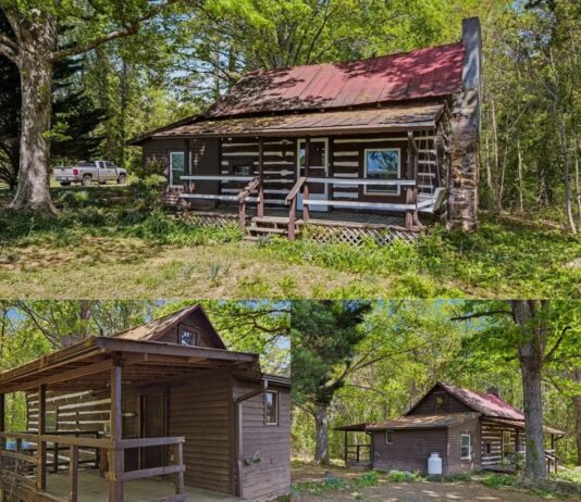 Log Cabin with 1 Acre in Halifax, Virginia