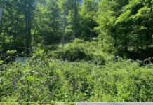 Rural Land with 213 Acres in Mouthcard, Kentucky
