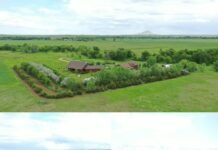Scenic 86.97 Acre Ranchette with Custom Home and Creekside Setting
