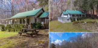 Historic Cottage with Guest Bunkhouse and Land Investment Opportunity Featuring Charm, Space, and Development Potential