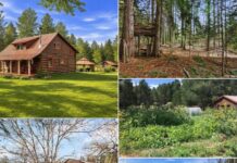 Rustic Country Cabin Retreat on Private Land Featuring Ponds, Park-Like Surroundings & Peaceful Natural Setting with Endless Outdoor Enjoyment Potential