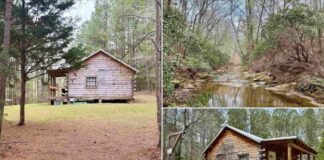 Private Creekside Retreat on 20 Acres in Wadley, Alabama