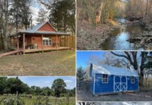 Spacious 50-Acre Property Offering Privacy, Natural Beauty & Unlimited Development or Recreation Potential