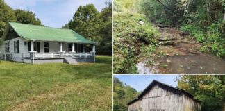 9.93 Acres with Home, Barn, and Natural Spring Offering Peaceful Country Living and Room to Expand