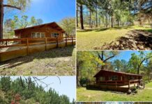 Private 5-Acre Lot Offering Space, Privacy, and Endless Possibilities for Your Future Vision