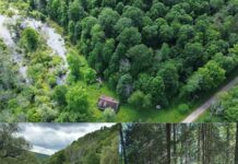 Home with 12.24 Acres in Hinsdale, New York