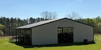Country Living at Its Finest: Explore the Endless Potential of This Beautiful 22-Acre Retreat in Fitzgerald, Georgia – $143,900
