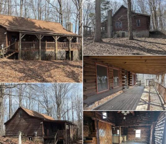 Bring This Log Cabin Back to Life: 2-Acre Fixer-Upper Opportunity – $50,000