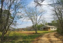 10 Acres of Opportunity: Build Your Dream from the Ground Up