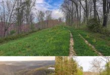 Land with 95.5 Acres in Littleton, West Virginia