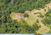 Timeless Farmhouse Retreat Beside Protected Forest Land