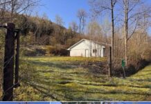 57+ Acres of Wooded Land Near UPB with Utilities