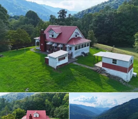 Pretty Mountain Scenery! Circa 1940 in West Virginia — Over an Acre for $119K