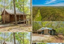 Ozark Mountain Retreat Auction: 35± Acres with 2 Homes