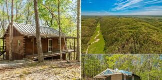 Ozark Mountain Retreat Auction: 35± Acres with 2 Homes