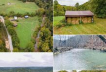 77+ Acre Farm & Hunting Property Featuring a Creek, Open Pasture, and Excellent Wildlife Habitat