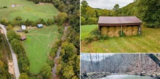 77+ Acre Farm & Hunting Property Featuring a Creek, Open Pasture, and Excellent Wildlife Habitat