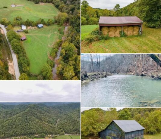 77+ Acre Farm & Hunting Property Featuring a Creek, Open Pasture, and Excellent Wildlife Habitat