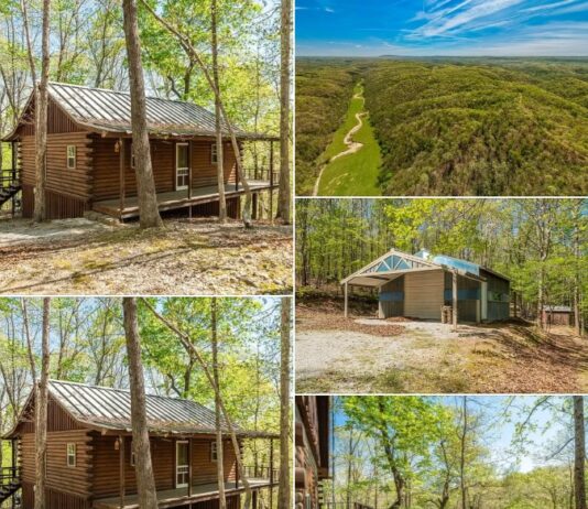 Ozark Mountain Retreat Auction: 35± Acres with 2 Homes