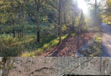 Land with 25 Acres in Hinkle, Kentucky