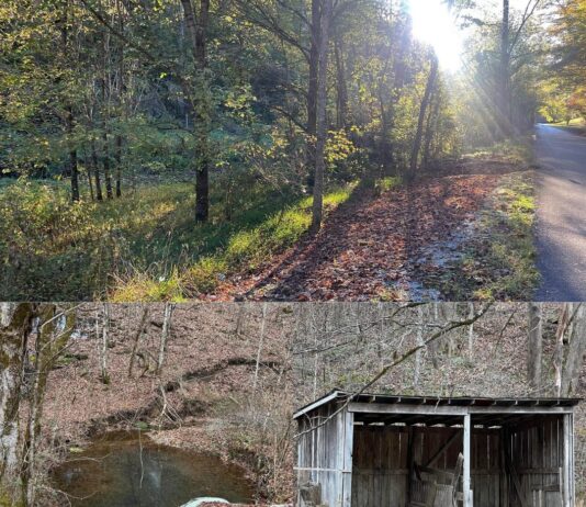Land with 25 Acres in Hinkle, Kentucky