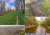 Secluded Mountain Acreage with Stream and Scenic Views in West Virginia