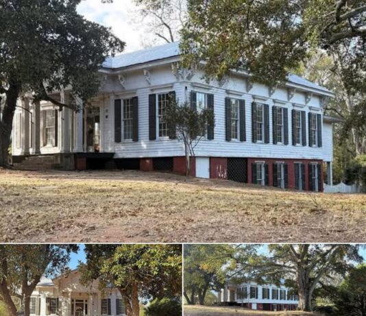 Timeless Southern Beauty: Grand Raised Cottage in Marion, Alabama – $90,000