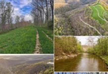 Secluded Mountain Acreage with Stream and Scenic Views in West Virginia