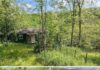 Nature Lover’s Dream Tranquil 1.5-Acre Retreat with Charming Tiny Bungalow Offering Peaceful Living and Natural Surroundings