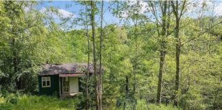 Nature Lover’s Dream Tranquil 1.5-Acre Retreat with Charming Tiny Bungalow Offering Peaceful Living and Natural Surroundings