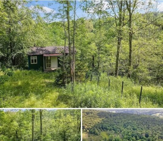 Nature Lover’s Dream Tranquil 1.5-Acre Retreat with Charming Tiny Bungalow Offering Peaceful Living and Natural Surroundings