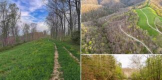 Secluded Mountain Acreage with Stream and Scenic Views in West Virginia